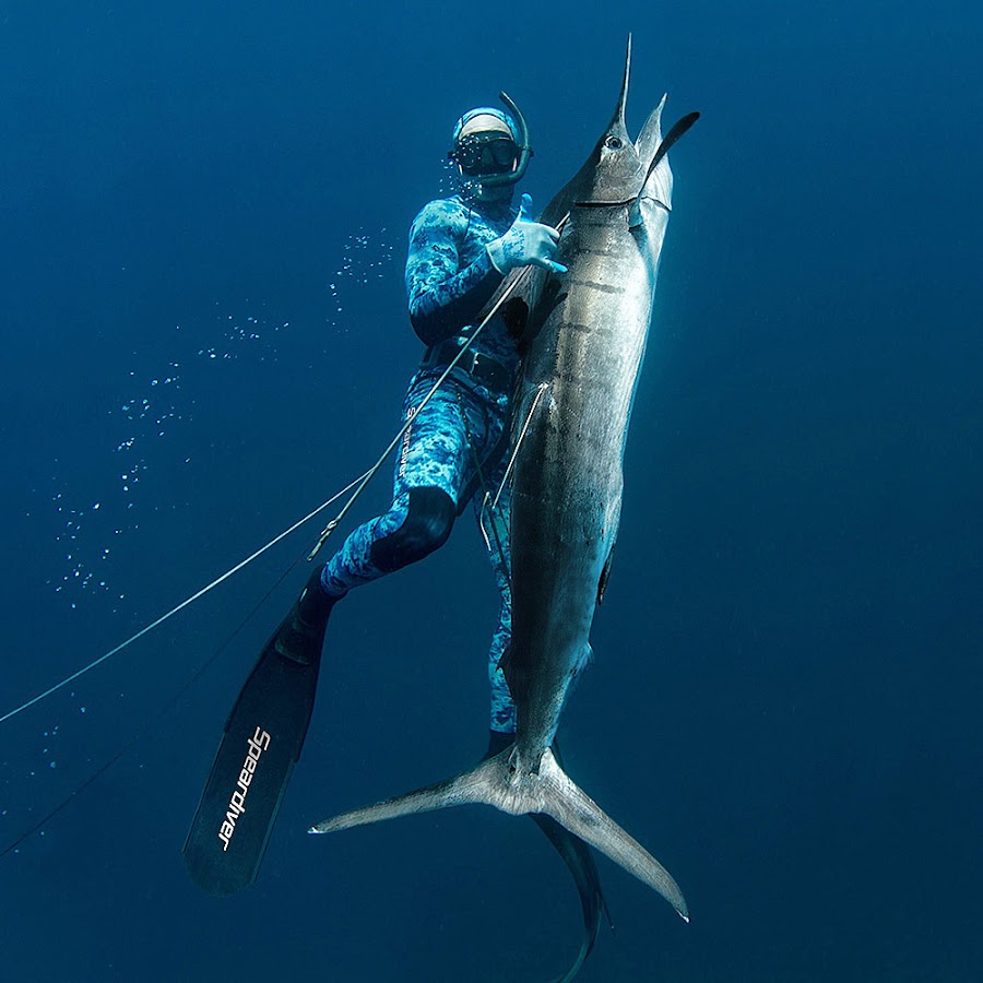 Spearfishing Store YouTube