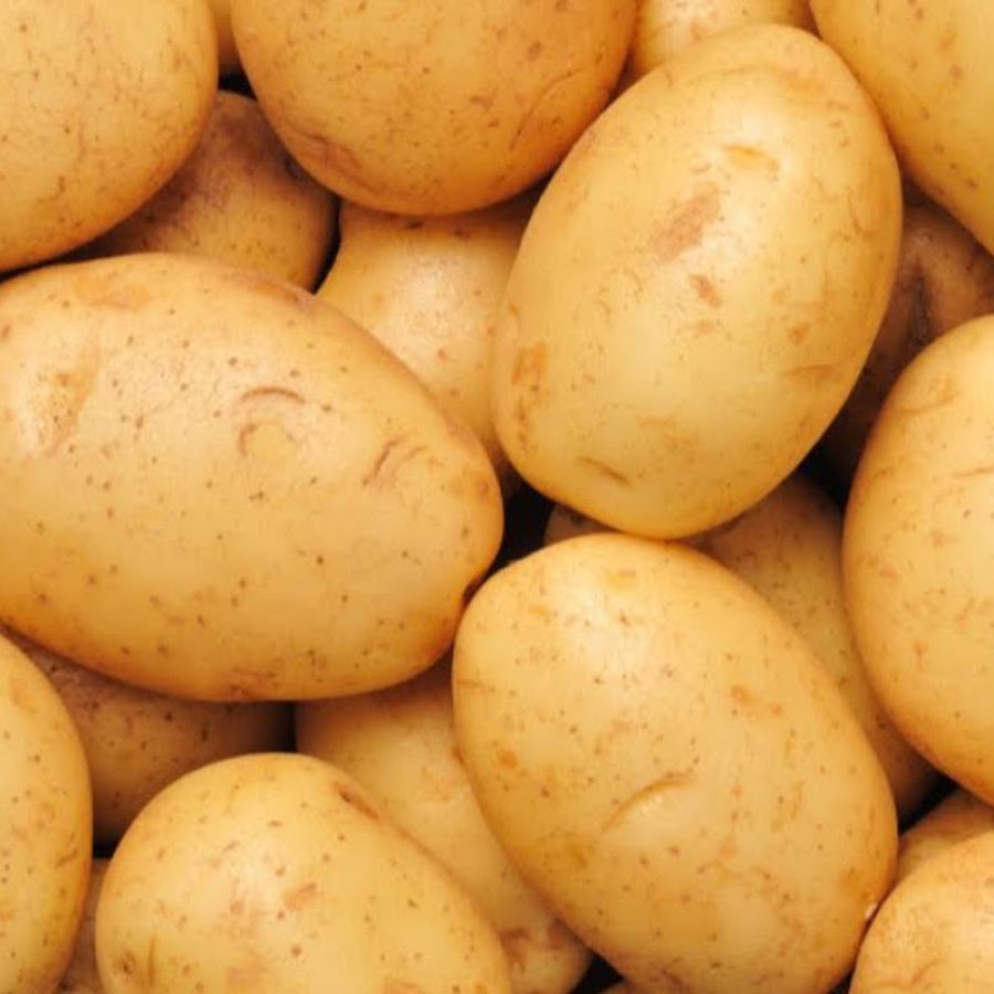 Moldy Potato YouTube