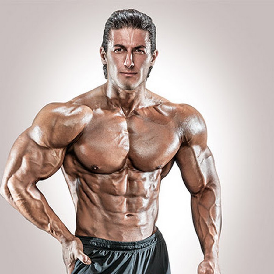 Fitness and Muscle 