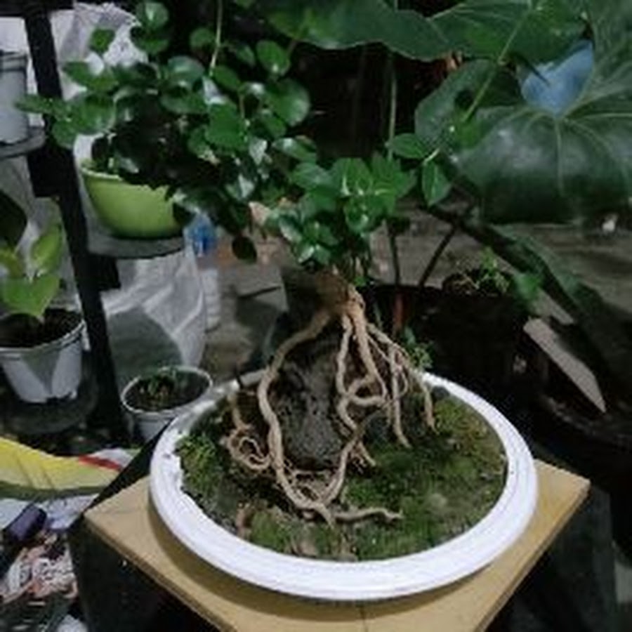 Slamet Riyadi - YouTube