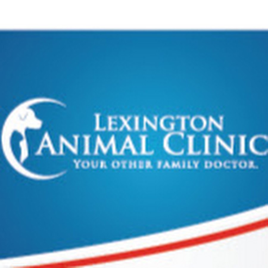 Lexington Animal Clinic YouTube