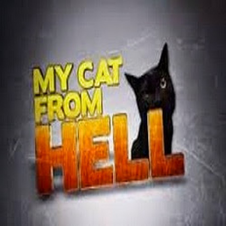 My Cat From Hell Full Episodes HD YouTube