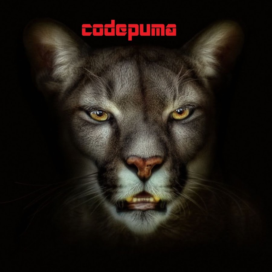 puma article code