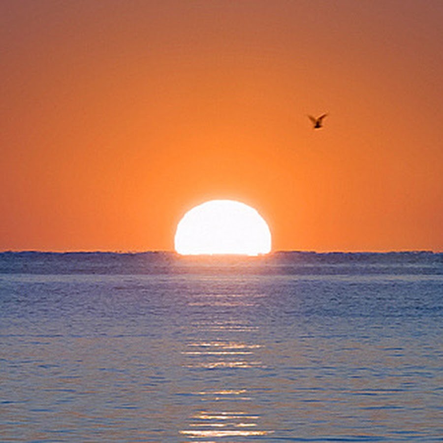 , ltd. солнце на горизонте. оранжевый закат на море. солнышко эстетика. отражение солнца в море.