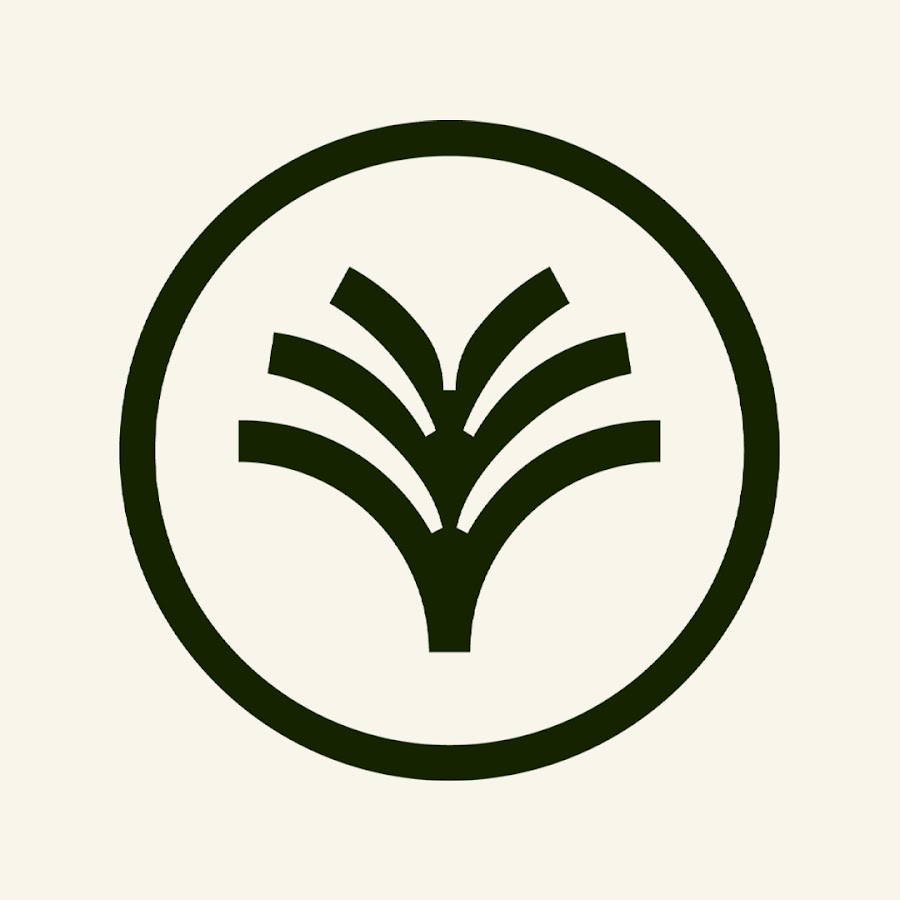 John David - YouTube