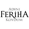 What could Adını Feriha Koydum buy with $1.4 million?