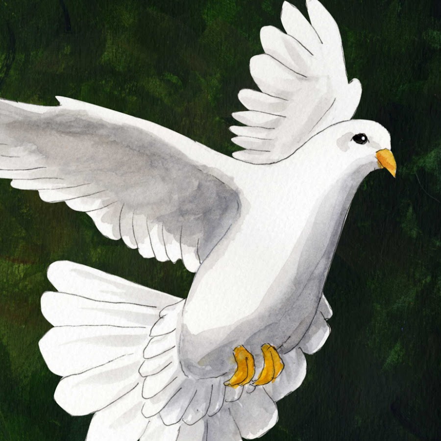 Как нарисовать белого голубя