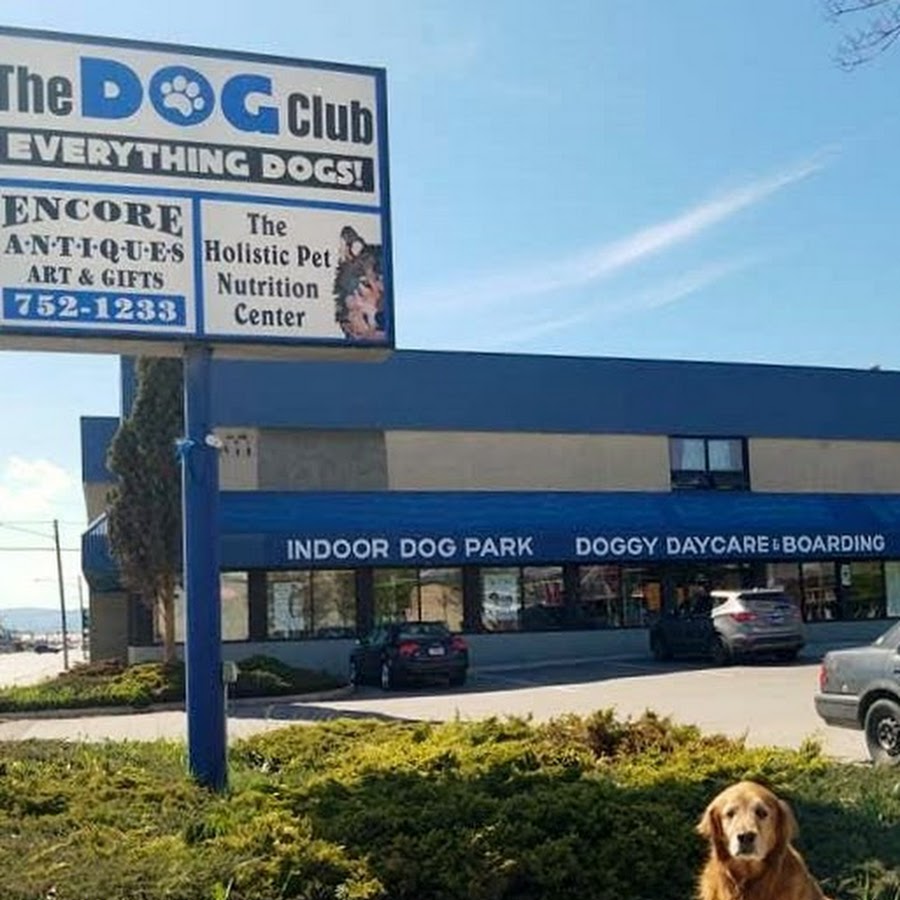 The Dog Club YouTube