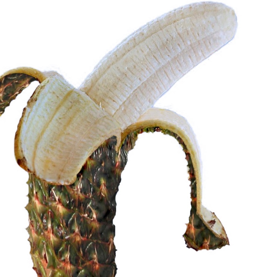 кукурузный банан. банановая кожура. шкурка от банана. загадка про банан для детей 6-7 лет. кукурузный банан.