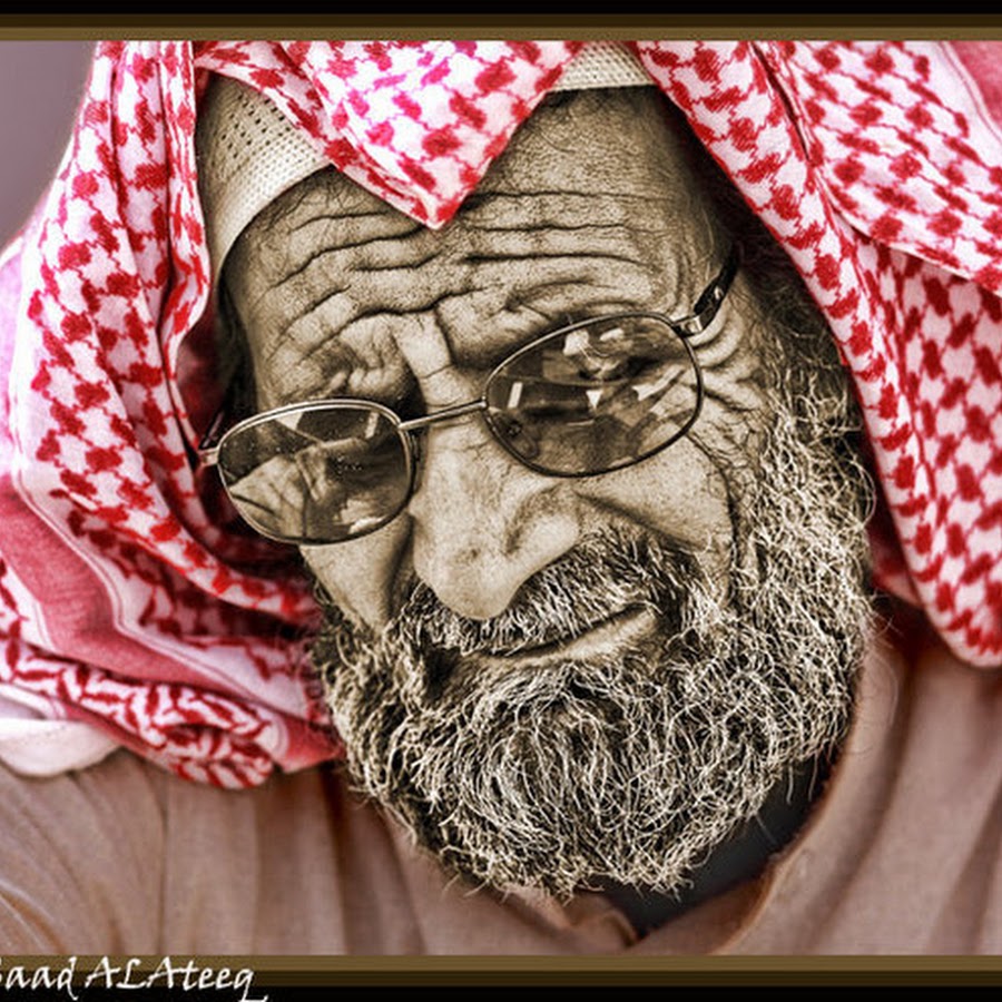 Ular Sawah - YouTube