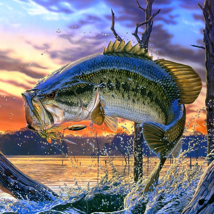 Folsom Bass Team - YouTube