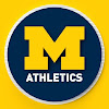 What could Michigan Athletics buy with $100 thousand?