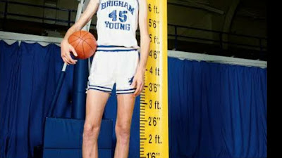 how to grow 15 cm taller