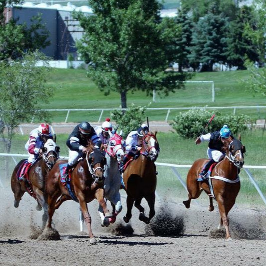 Utah Quarter Horse Association Racing YouTube