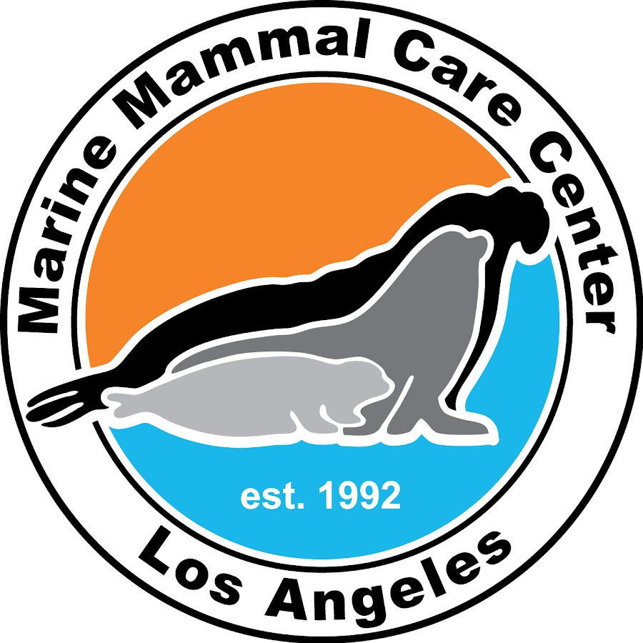 MARINE MAMMAL CARE CENTER LOS ANGELES - YouTube