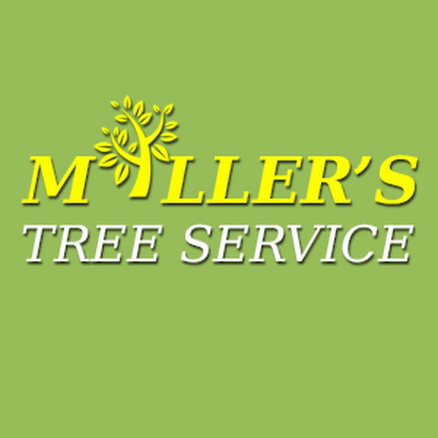 Miller's professional tree service - YouTube