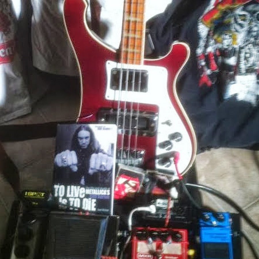 Bass Fern 