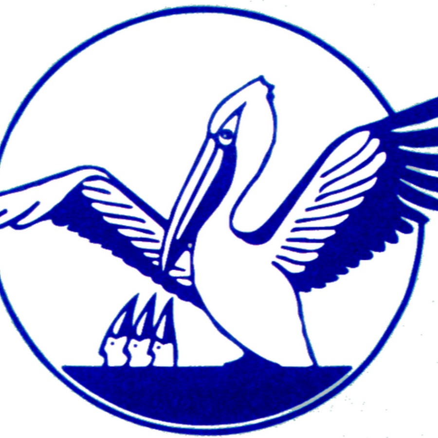 Символ учителя года пеликан 2022. Птица учителя года. Пеликан конкурс учитель года. Пеликан учитель года эмблема. Пеликан конкурс учитель года.