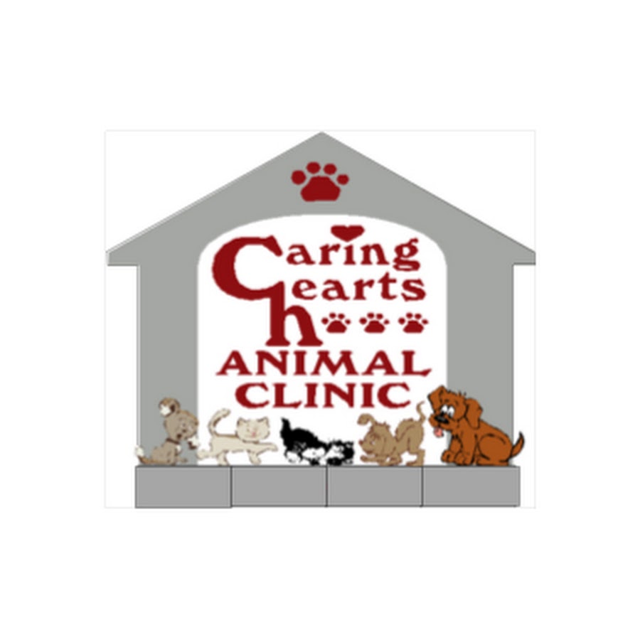 Caring Hearts Animal Clinic - YouTube