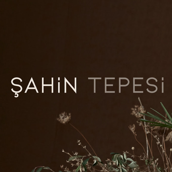 Şahin Tepesi Net Worth & Earnings (2026)