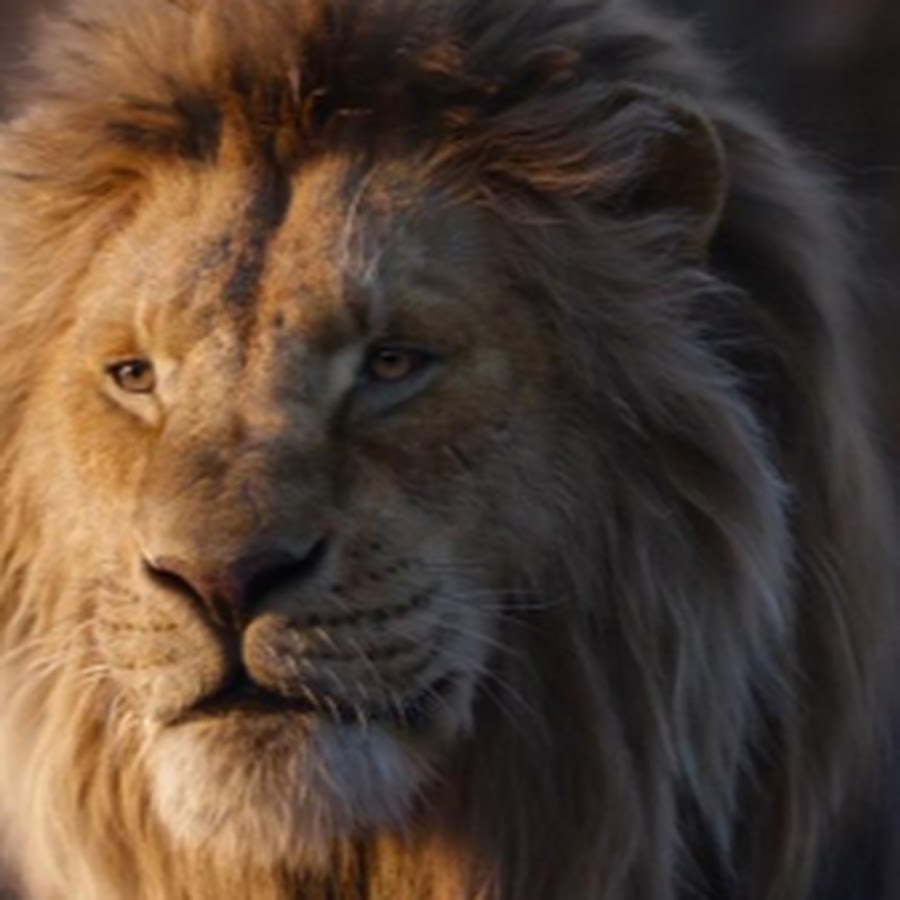 Le Roi Lion Youtube Film Complet Le Roi Lion FILM COMPLET - YouTube