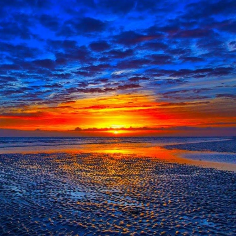 David Chang - YouTube