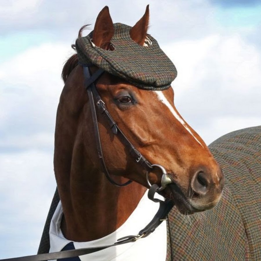 Конь в пальто - YouTube