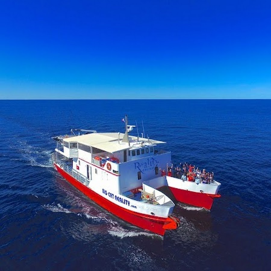 Big Cat Reality Fishing Charters YouTube