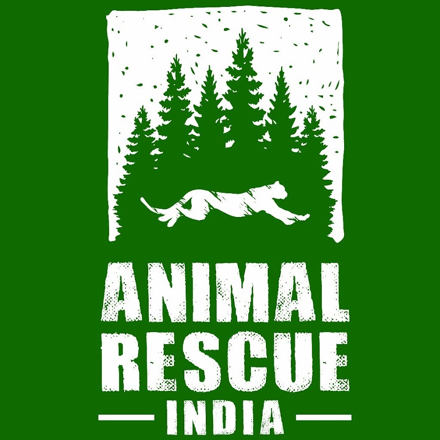 Animal Rescue India 