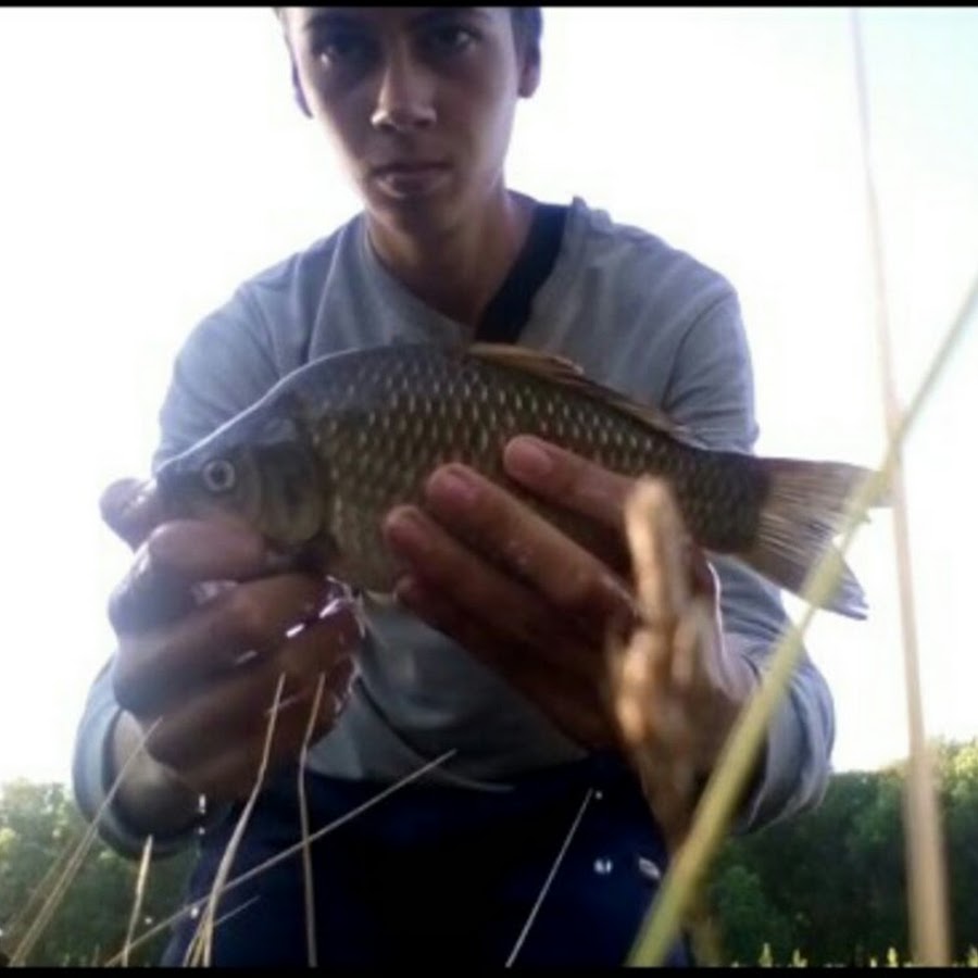 рыбака 36. рыбалка 36 воронеж. рыбалка воронеж 36 черноземье. рыбалка в воронеже и черноземье. рыбалка есауловка.