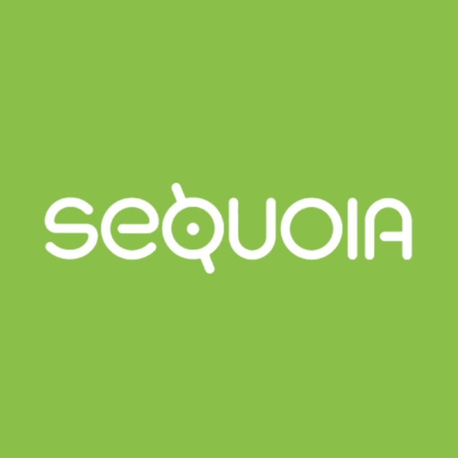 what do they do sequoia mental health - Ilustrasi 3