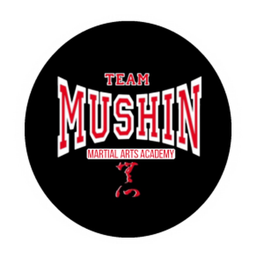 I. Aero elite: combat academy. Mira mesa high school san diego. I. Computer games assault.