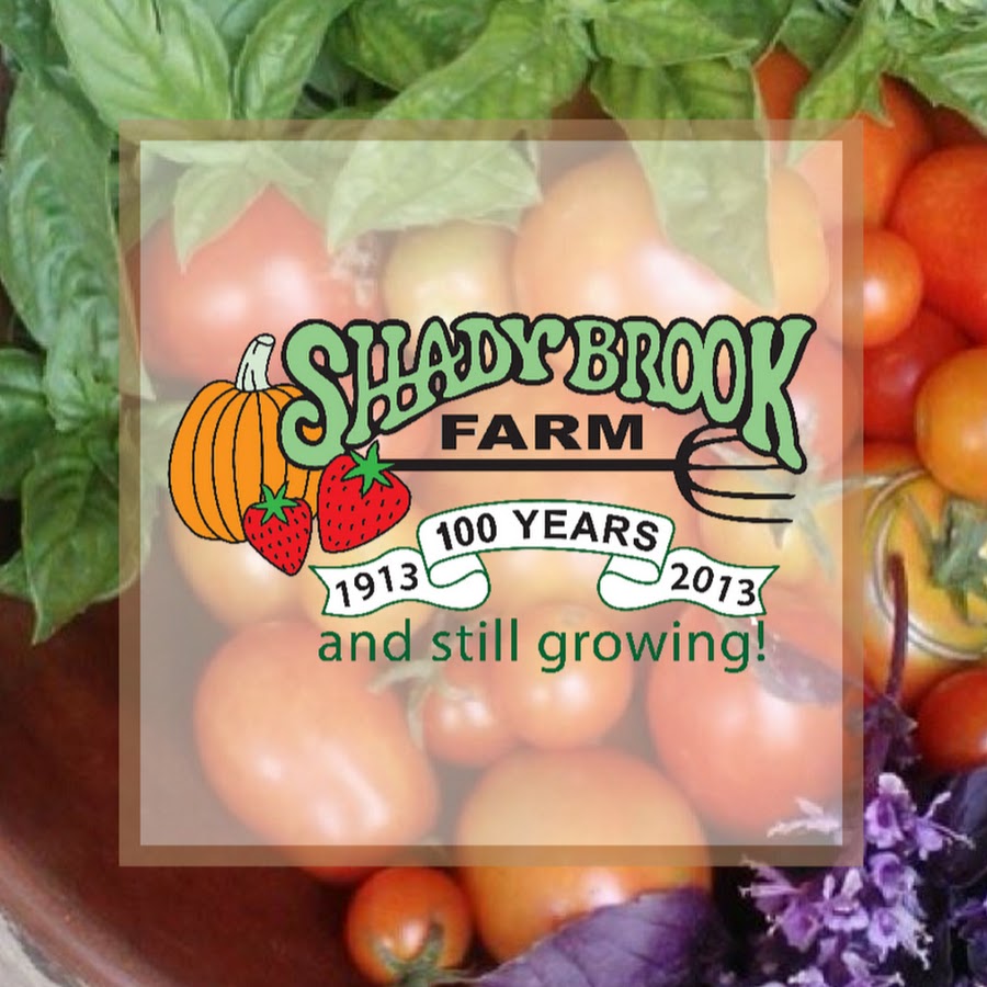 Shady Brook Farm YouTube