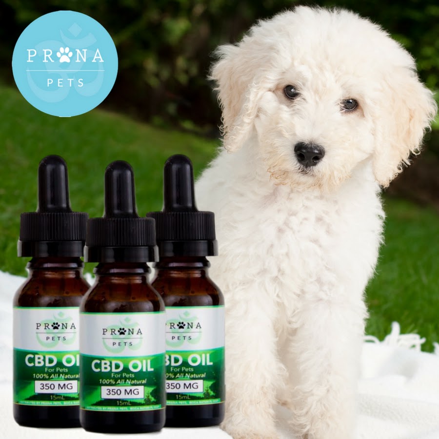 Prana Pets - YouTube