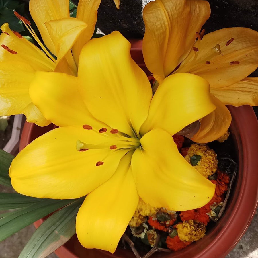 heart n hobbies - YouTube