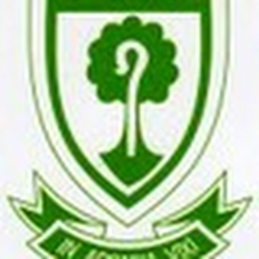 Arcadia Arcadia School YouTube
