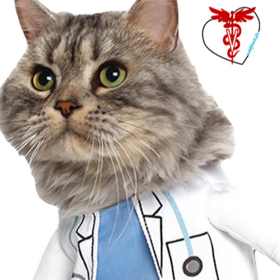 omer yıldız YouTube