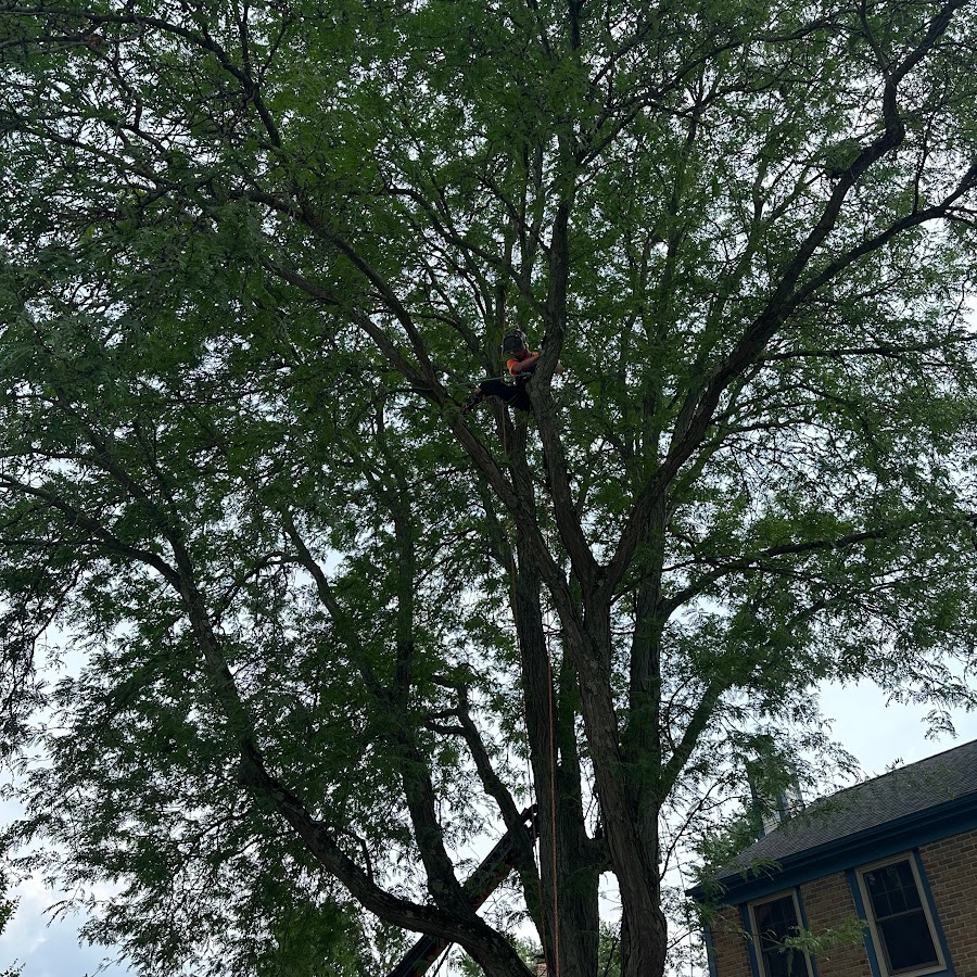 MrLolzAlot - YouTube