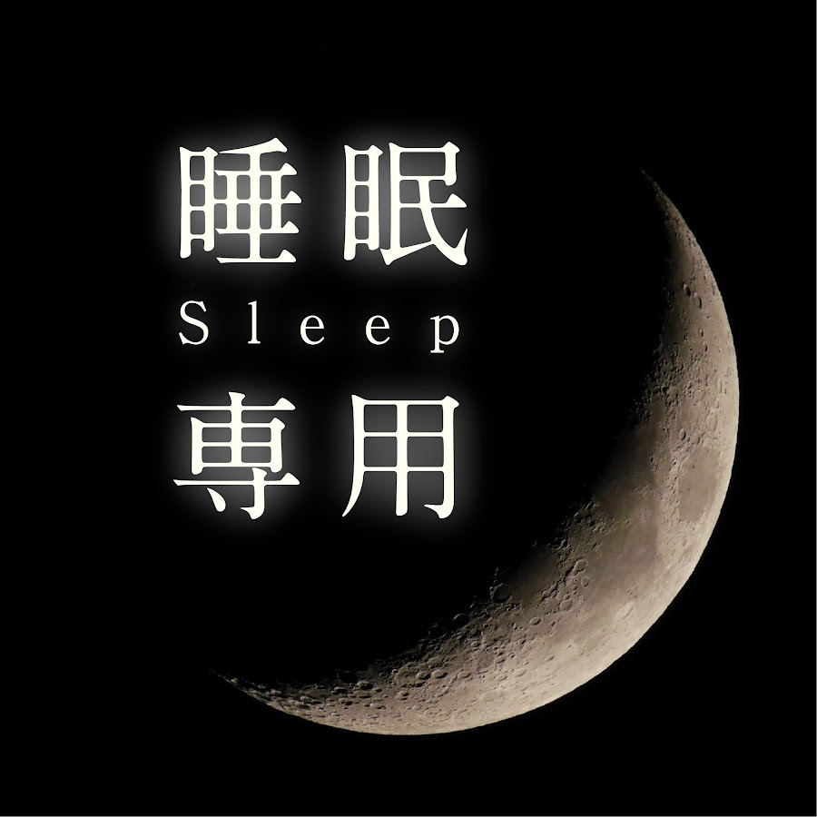 The Forest for Sleep support for your sleep for 365days YouTube