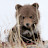 Scary Brown Cub avatar
