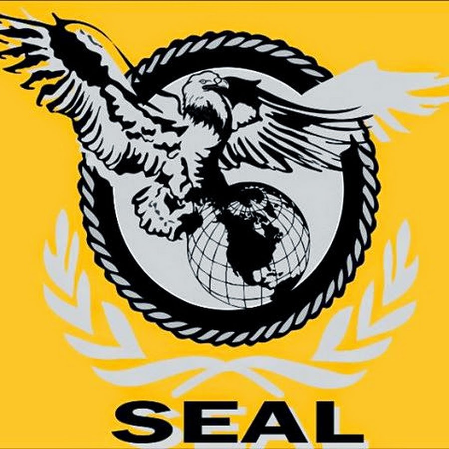 Premier Financial Alliance Success YouTube