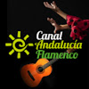What could Canal Andalucia Flamenco buy with $752.05 thousand?