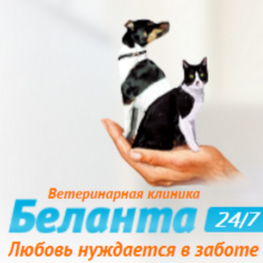 Ветеринар. Belanta vet. Balanță. Belanta vet. Belanta vet.