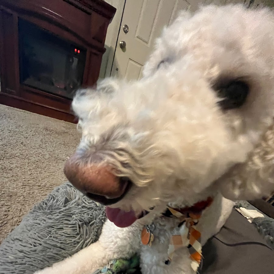 Best toys On earth YouTube