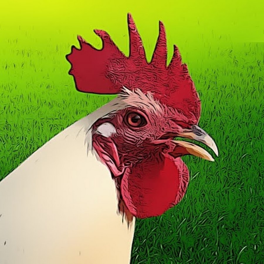 GameFowl Philippines YouTube