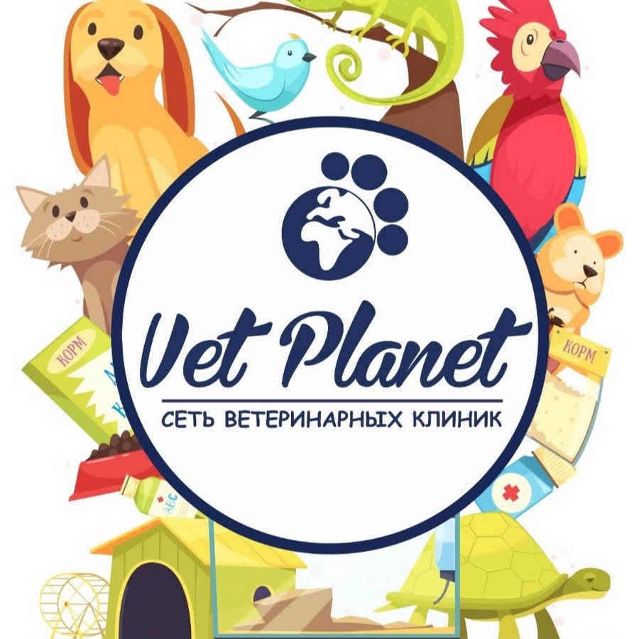 шевченко 198 анапа ветклиника. ул шевченко 198 анапа. ветаптеки в анапе. ветеринарный центр ул шевченко 198 анапа. шевченко 198 анапа.