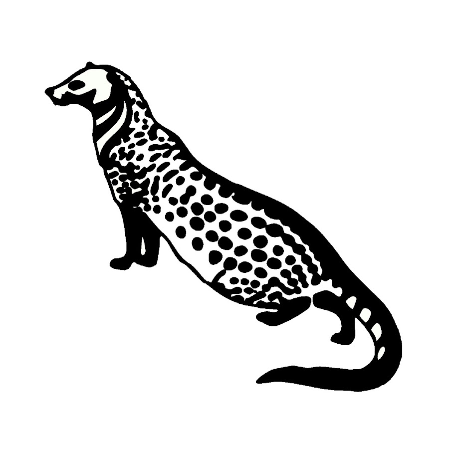 Centre for Wildlife Studies - YouTube