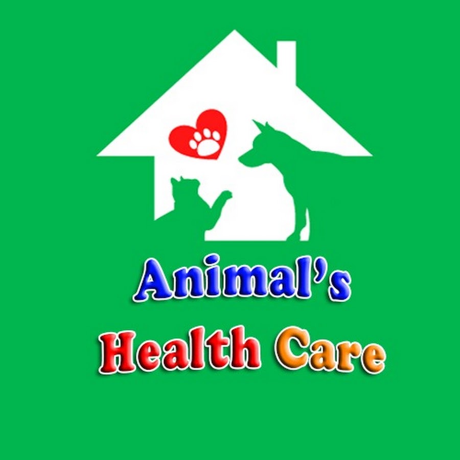 ANIMAL'S HEALTH CARE YouTube
