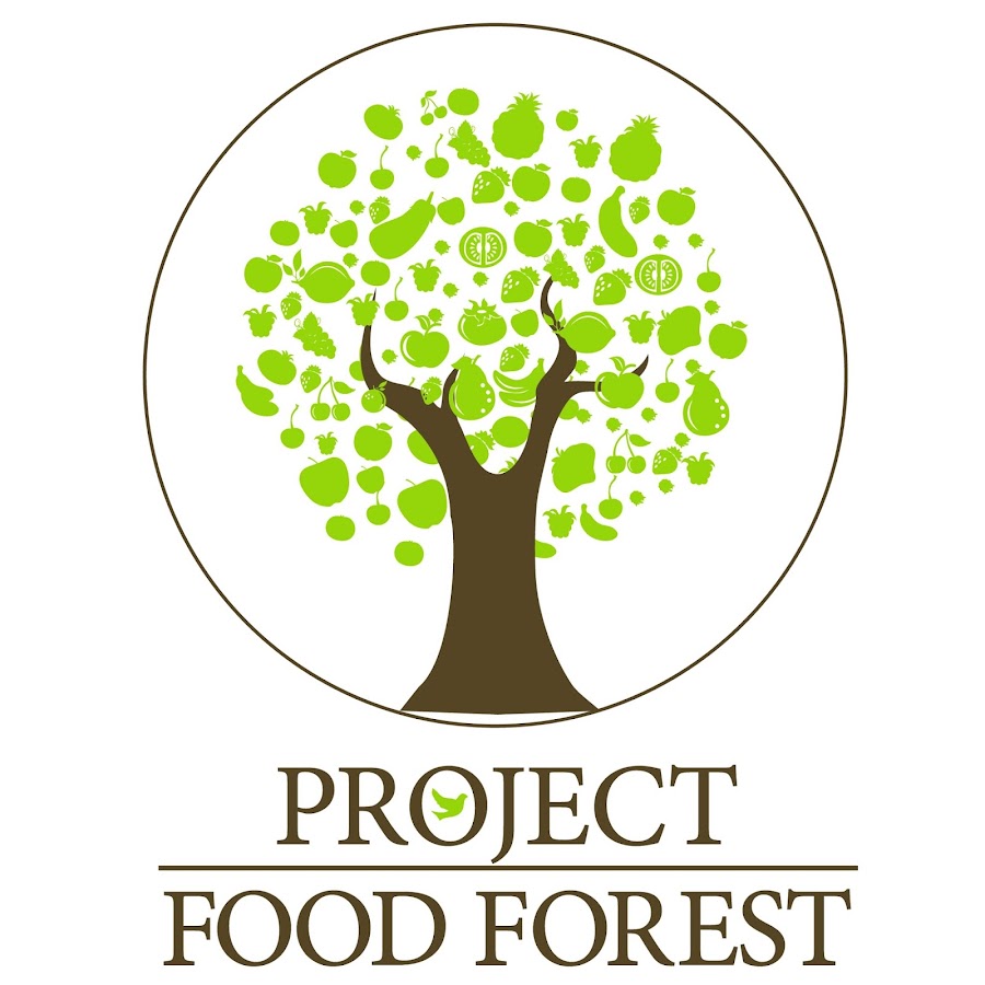 Логотип дерево. Логотип лес. Логотип дерево с яблоками. Food Project. Natures project