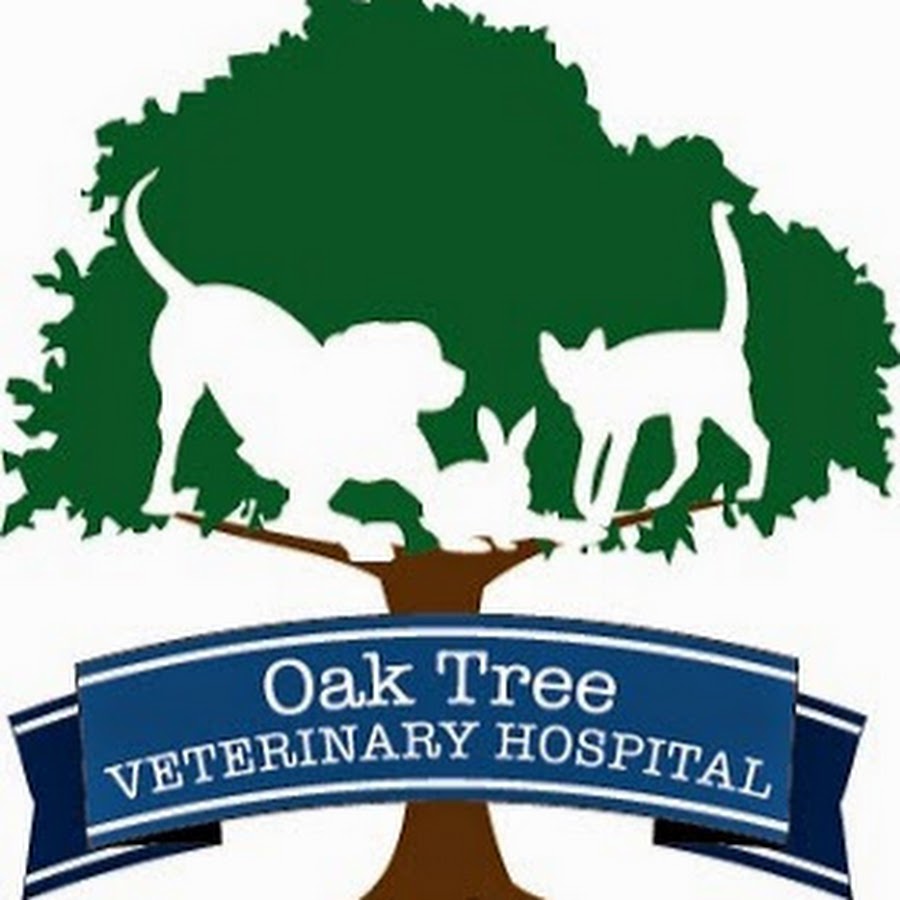 Oak Tree Vet HospitalCleveland Heights YouTube